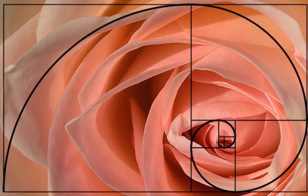 golden-spiral-applied-photography-2_1_