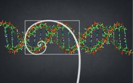 13315769_278315692512964_8890490578378704141_n